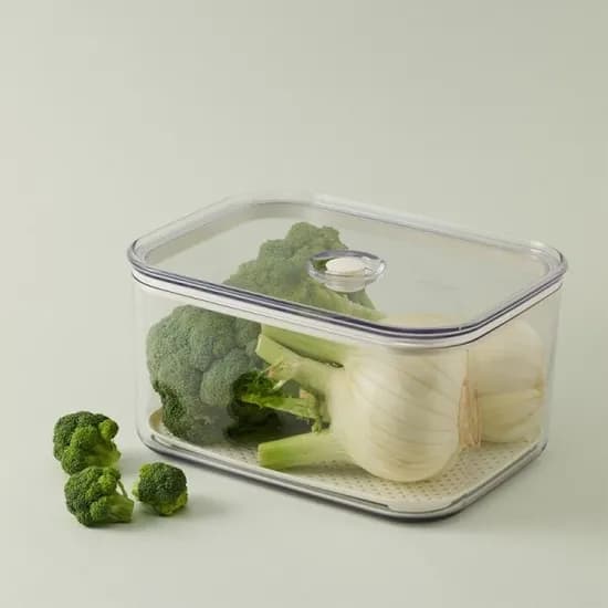 프레쉬 마에스트로 진공용기 4.2L 직사각 채반포함