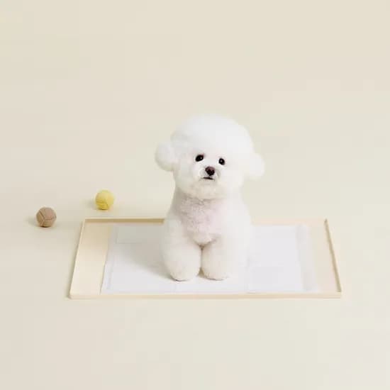 강아지 배변매트 도트 실리콘 배변판 식기매트 2size 2colors