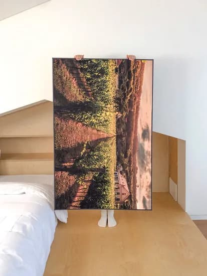 포도밭 러그 100x150