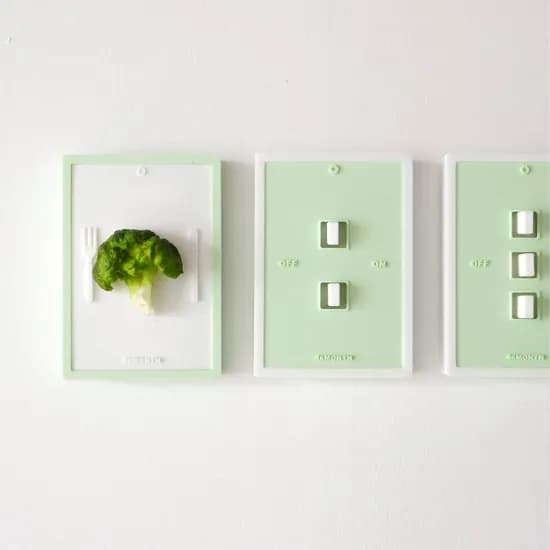 BROCCOLI SWITCH COVER 5colors 브로콜리 스위치 커버