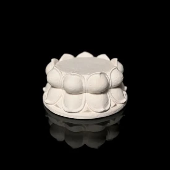 Lotus_Plate