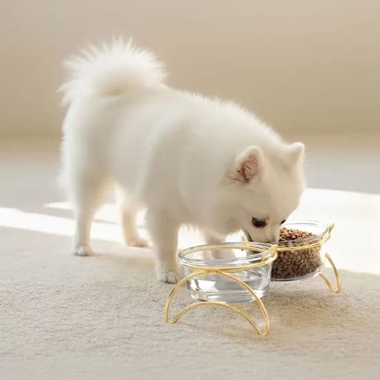 프리미엄 유리 강아지 밥그릇 고양이 물그릇 식기 식탁세트