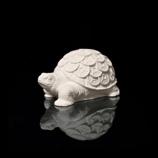 Coin_Turtle