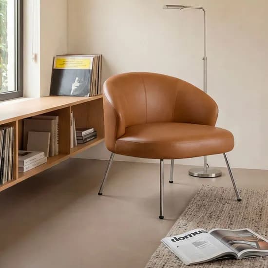 Shelter Lounge Chair
