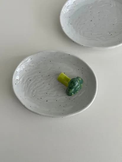 미토 플레이트