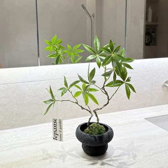 그린잎 조화화분 코케다마 오브제 거실인테리어 조화