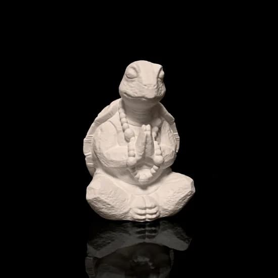 Meditating Turtle