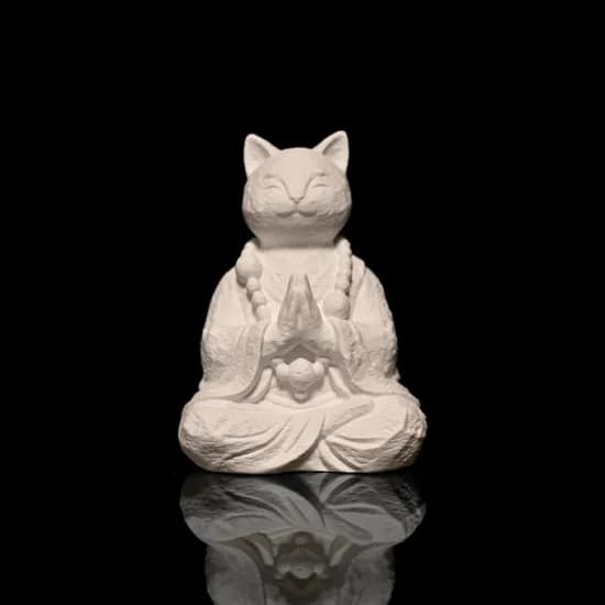 Meditating Smile Cat