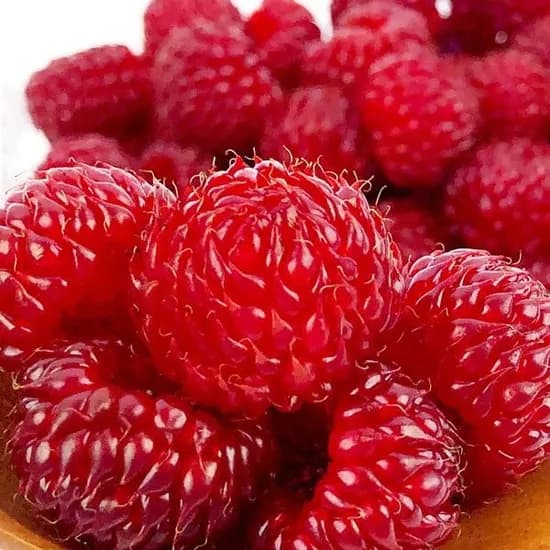 당일수확 싱싱한 생 산딸기 250g 1팩 / 2팩 / 3팩 / 4팩