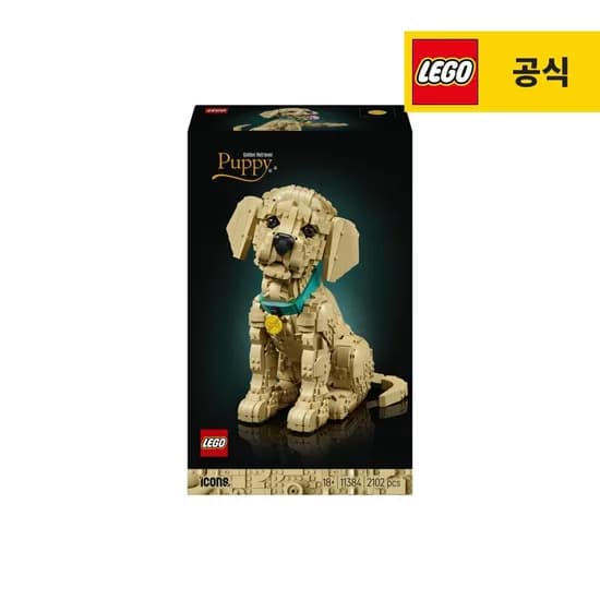 아이콘 11384 골든 리트리버 강아지