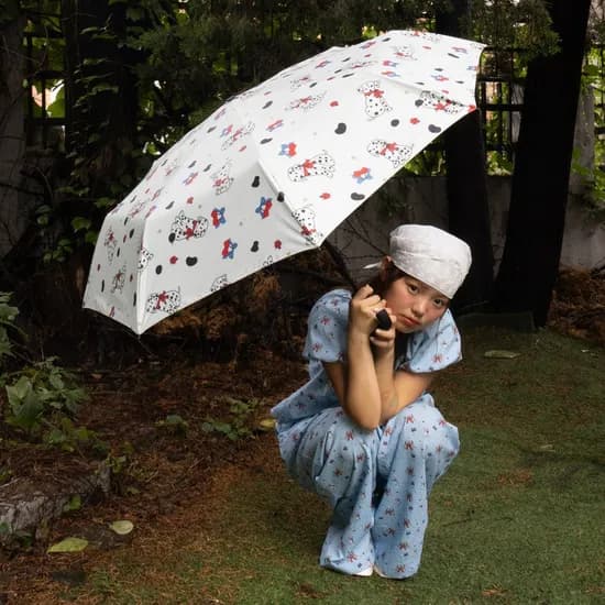 Dalmatian umbrella 달마시안 자동 우산 양산