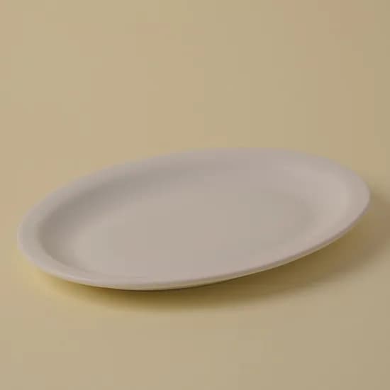 blanc oval plate