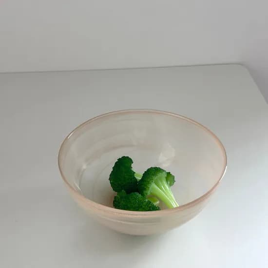 보울 18cm 코랄 24,000원