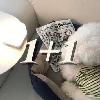 강아지 사운드 장난감 바스락 신문지 디자인 소리나는 장난감 1+1