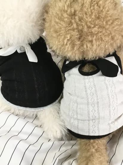 강아지 블랙 화이트 배색 짜임 나시 데일리룩 애견옷