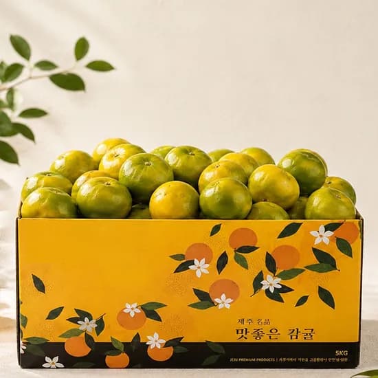 26년 제주 햇 감귤 4.5kg 소과 로열과