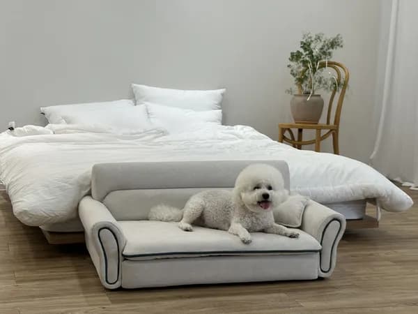 헤이븐 강아지 소파 반려동물 침대 189,000원