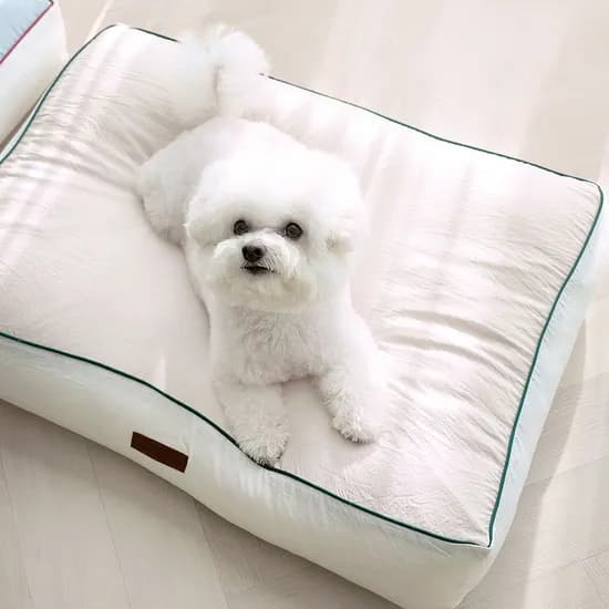 뜯김없는 알러지케어 강아지방석 고양이 애견방석 (오염방지 방수솜) 4colors
