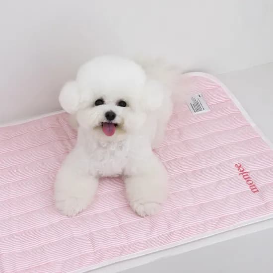 쉬오트 리프레쉬 인견 쿨매트 (베이비핑크) / 강아지 고양이 매트 방석