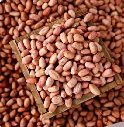 볶음땅콩 500g x 2봉 총 1kg