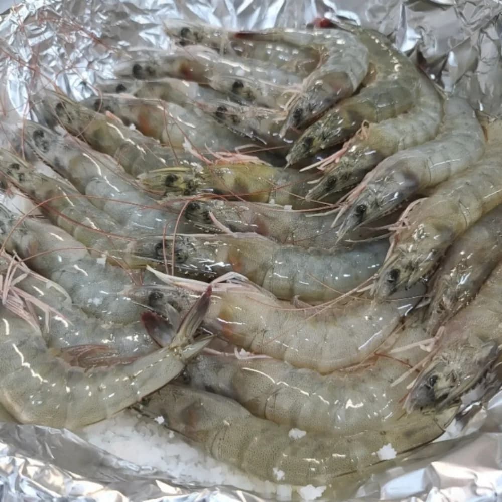 제철 신안 흰다리 생새우 활새우 1kg (대/30-35미) (14,653원/무배)2
