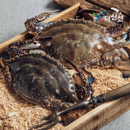 태안 자연산 통통 활 꽃게 2kg 5-10미 / 생존율 UP 톱밥포장($13.76/무료)1