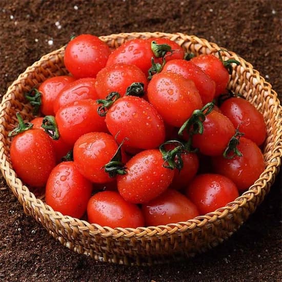 대추방울토마토 1kg(3,915원)/윌에코저지방180ml 12개(8,559원)/할리스컵커피3종 300mlx20개입 골라담기(20,707원)/숨 프리미엄 물티슈 100매 10팩 (캡형)(4,874원)/무료2