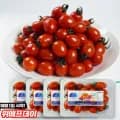 스테비아 대추방울토마토 2kg(500g 4팩) (9,990원/무료)