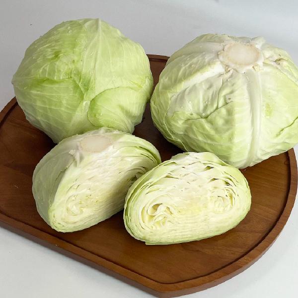 전라도 무안 양배추 2통(3~4kg)(7,500원/무료)