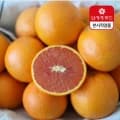 호주산 카라카라 오렌지 4kg (15,510원/무료)