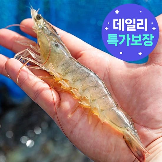 국산 제철 흰다리새우 1kg 활새우 35미내외 (15,120원/3500원)