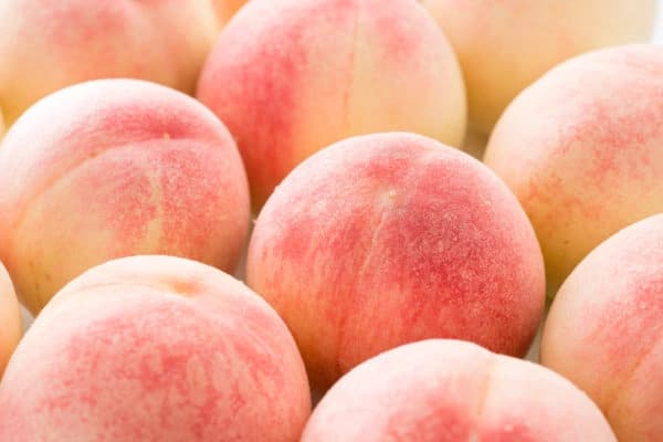 딱딱이 백도 복숭아 2kg (10,560워/무료)