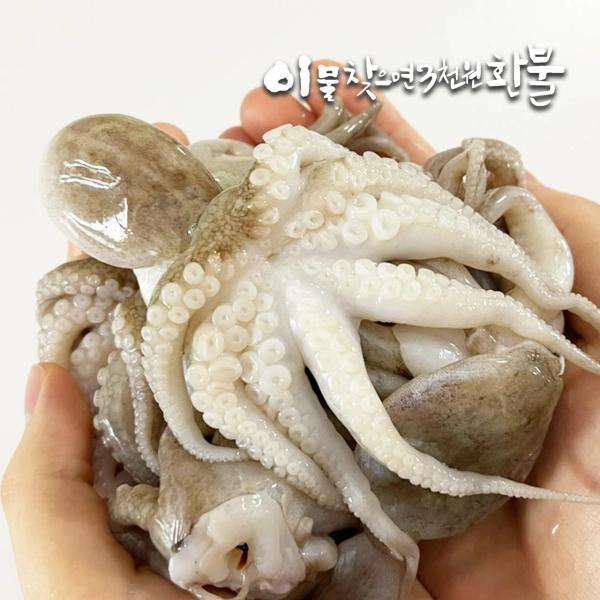 손질 통쭈꾸미 24미 250g 3팩 (12,085원/무료)