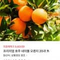 프리미엄 호주 네이블 오렌지 20과 (개당 150g 내외) (10,890원/무료)1