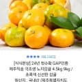 제주 극조생 노지감귤 4.5kg 로얄과(S-M) (13,900원/무료)3