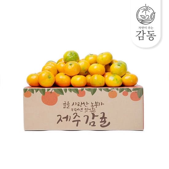 제주 햇 감귤 4.5kg 로열과 (카or토11,940원/무료)5