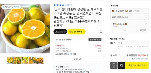 감귤 대과 L-2L 4.5KG (9,090원/무배)