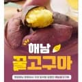 해남 꿀밤고구마 5kg 베니하루카 (9,500원~/무료)3