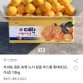 제주감귤 10kg 대과 (U클럽 적용가 9,270원/무배)3