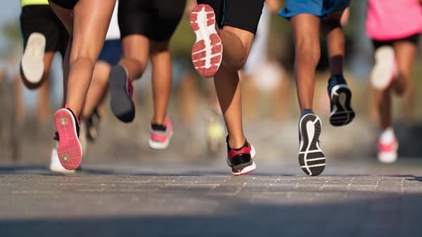 밀레 로시오 16 백팩 외 다양 (95,000원/무료)1