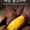 해남 황토밭 24년 햇 꿀고구마 대 5kg (유클 9,450원/무배)3