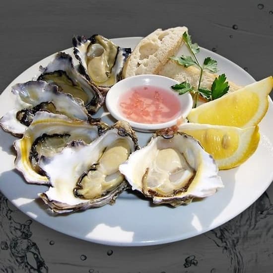 국내산 여수 석화굴 5kg 1팩 외 멕시카나,한돈 목살,뽀로로음료,오뚜기 진라면 매운맛/순한맛 (다양/무료)10