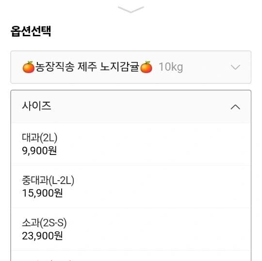 제주 노지감귤 10kg (9,800원/무배)