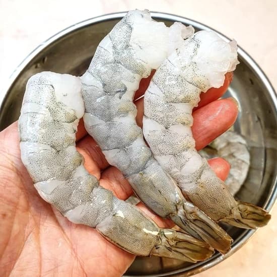 칵테일 새우 1kg(해동후 900g) (14,810원~/무배)