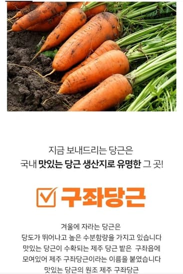 제주 구좌 당근 3kg (9,900원/무배)1