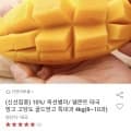 델몬트 항공직송 고당도 골드망고 특대과 4kg 8과-10과 (28,280원/무료)