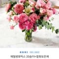 제철꽃20송이+절화보존제 (10,900원/무료)3