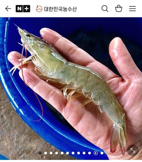 급냉 국산 흰다리새우 1kg 27미 내외 (15,420원/3,000원)6