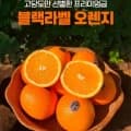 블랙라벨 오렌지 프리미엄 고당도 네이블 오렌지 (4,900원/무료)