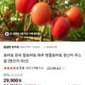 완숙토마토 정품 5kg (16,910원/무료배송)2